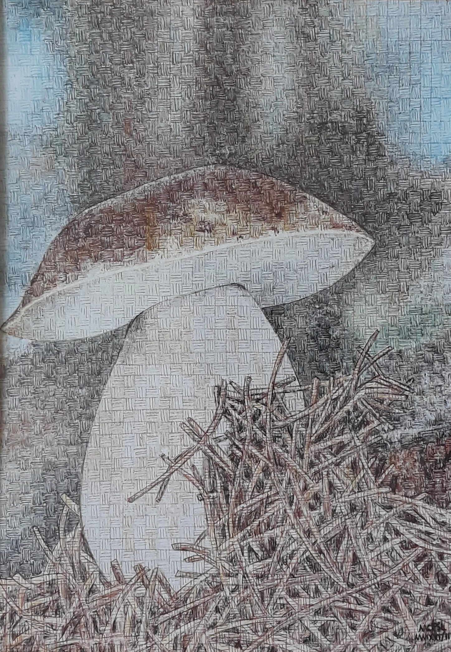 Kresba propiskami - technika čárkorastr - název Hřib - autor MOPSL