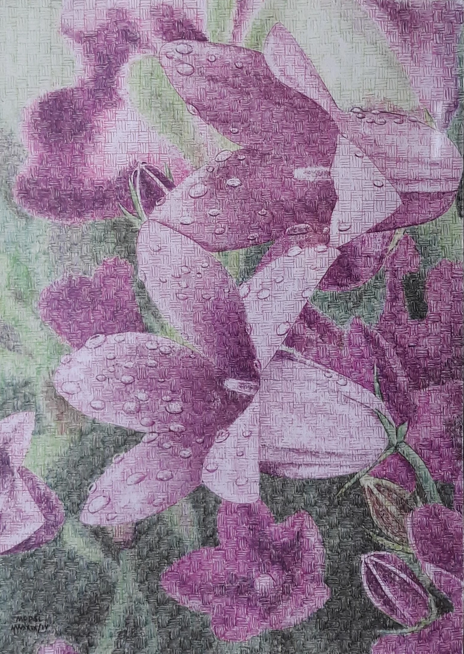 Kresba propiskami - technika čárkorastr - název Zvonky - autor MOPSL